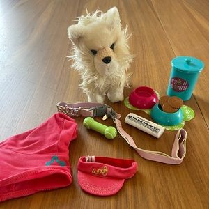 Anerican girl pet dog with outfit and accessories.